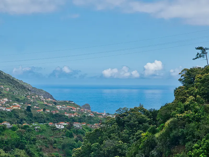referta-view