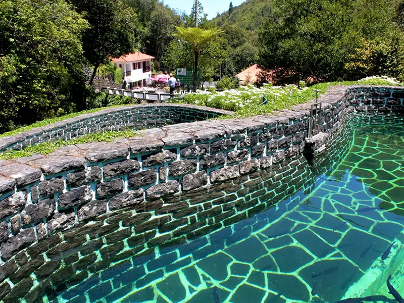 ribeiro-frio-trout-farm